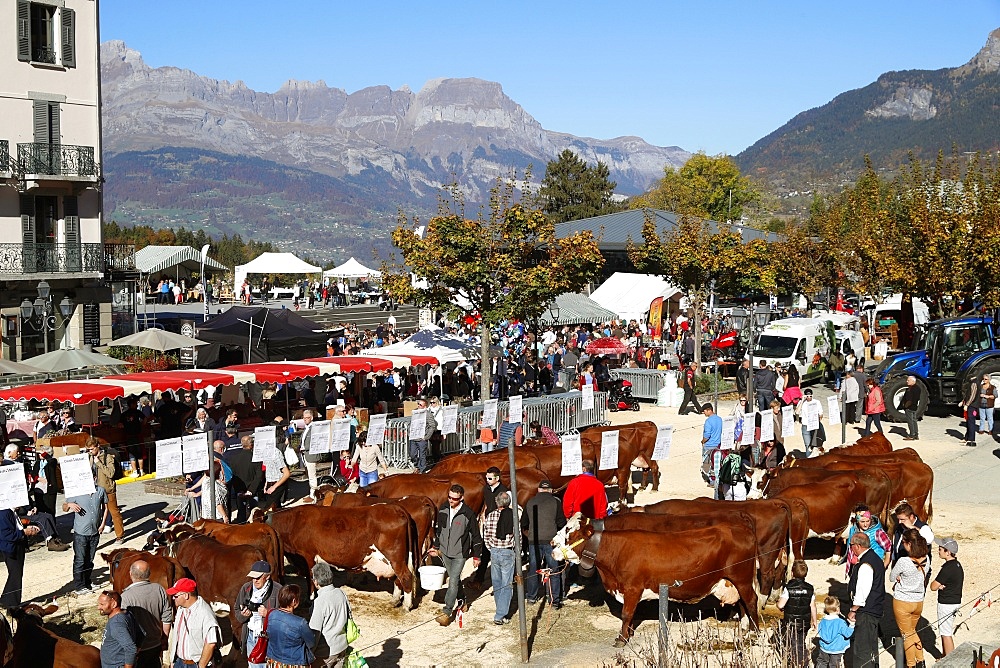 The agricultural fair (Comice Agricole) of Saint-Gervais-les-Bains, Haute-Savoie, France, Europe