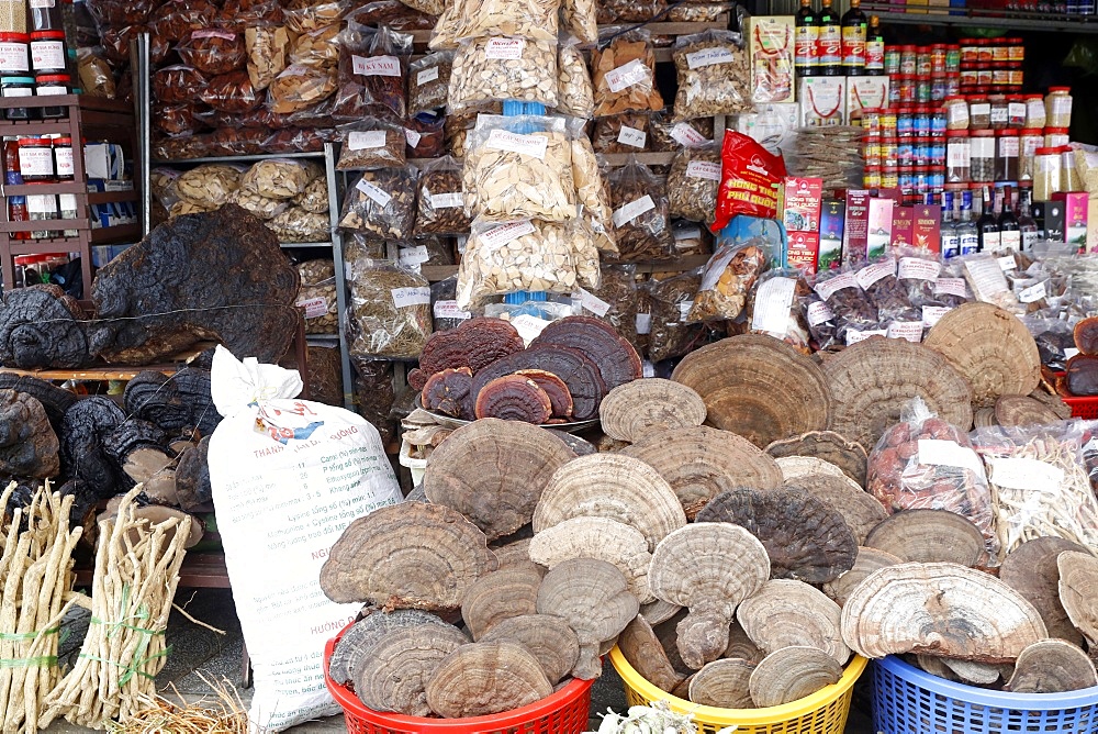 Medicinal herbs on display in Chinese traditional pharmacy in the market in Duong Dong, Phu Quoc, Vietnam, Indochina, Southeast Asia, Asia