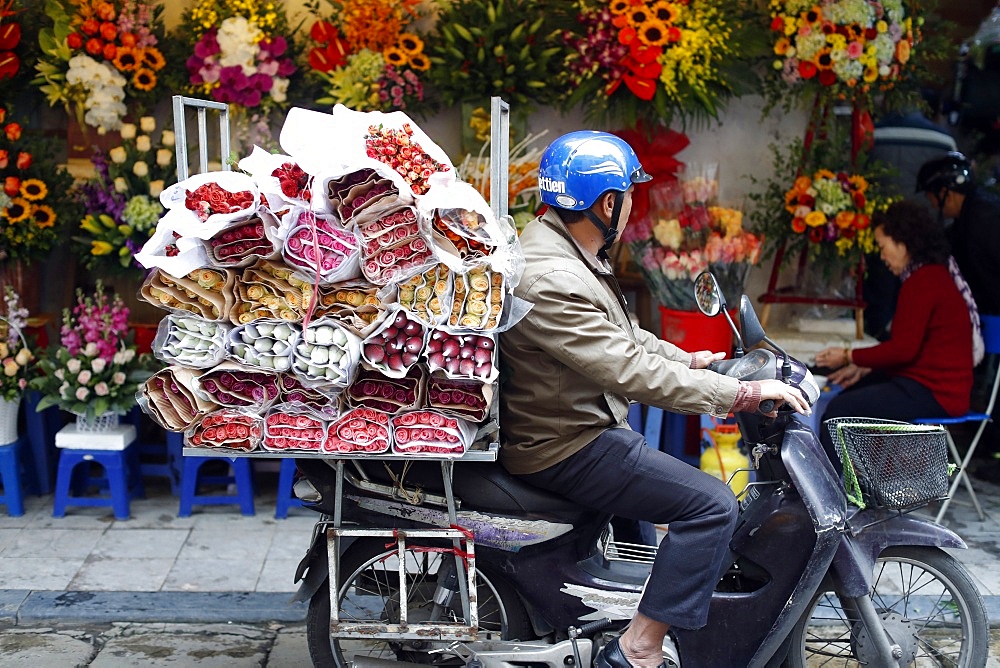 Motor bike at flower market, Hanoi, Vietnam, Indochina, Southeast Asia, Asia