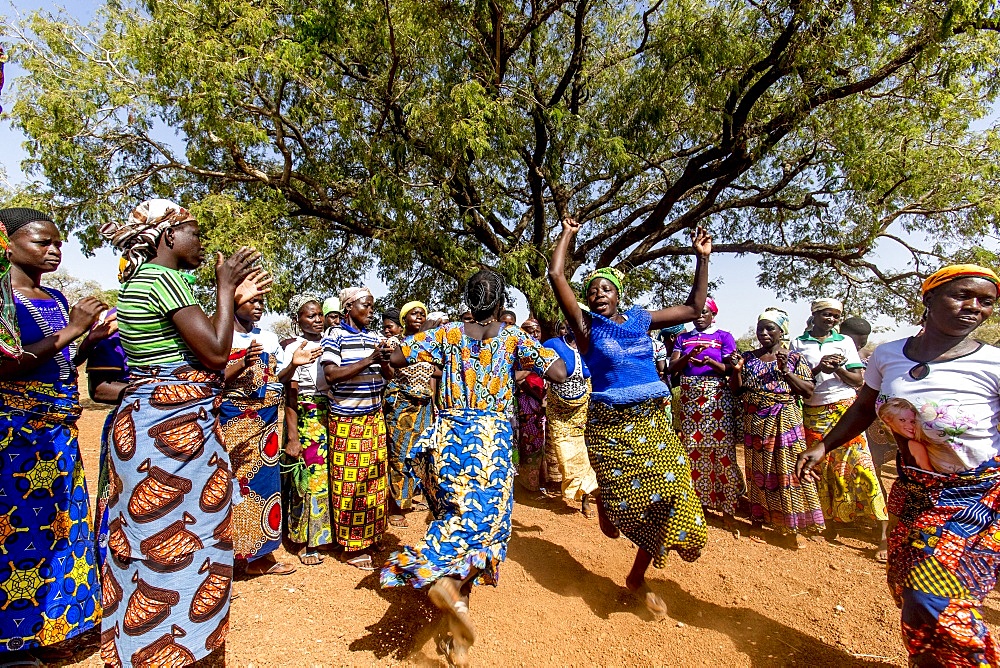 Members of a women's microfinance cooperative welcoming a visitor with dances in Northern Togo, West Africa, Africa