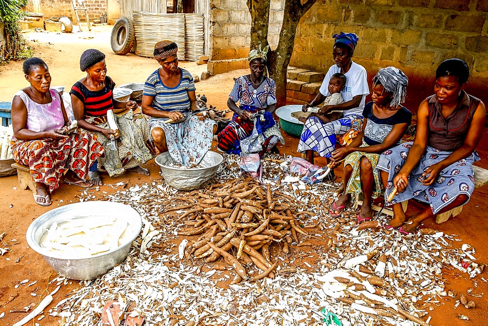 Group of women peeling cassava on the outskirts of Lome, Togo, West Africa, Africa