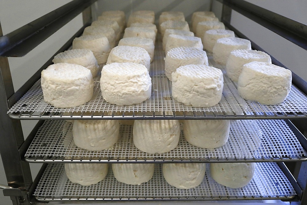 Traditional farm in the French Alps, goat cheese factory, Marignier, Haute-Savoie, France, Europe