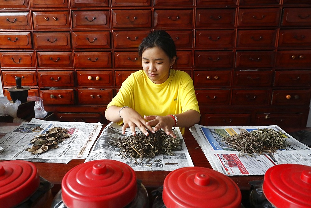 Woman working in a traditional Chinese pharmacy, Ha Tien, Vietnam, Indochina, Southeast Asia, Asia