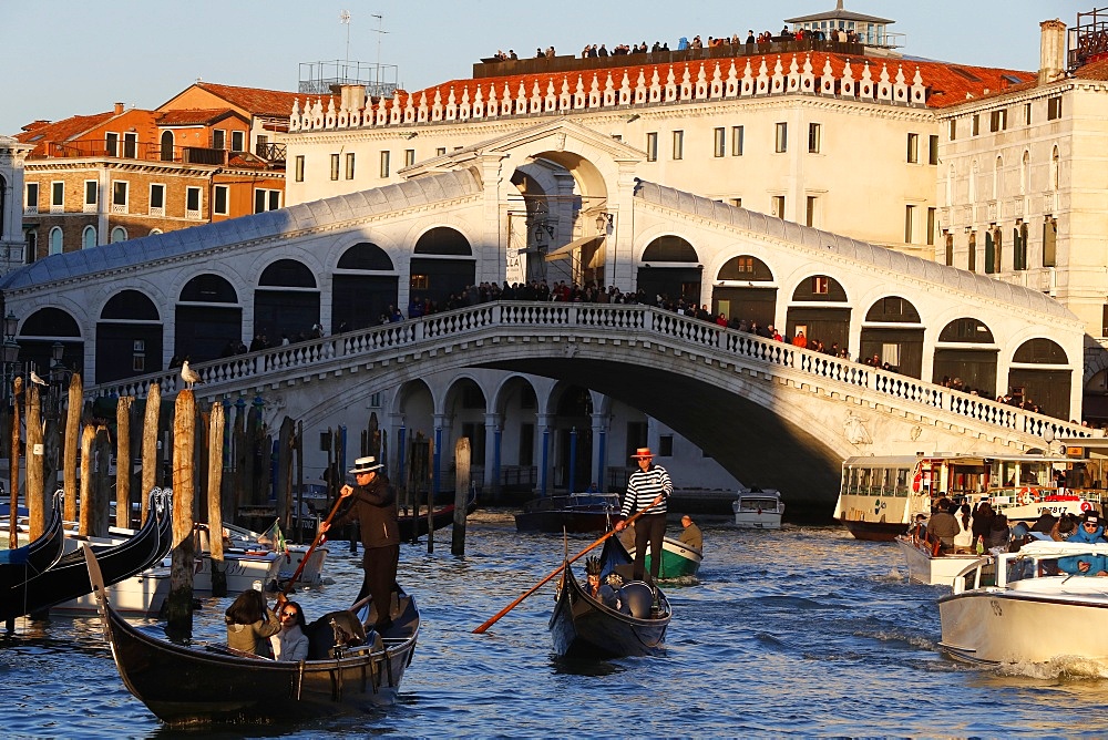 Rialto Bridge and Grand Canal with gondolier sailing on gondola, Venice, UNESCO World Heritage Site, Veneto, Italy, Europe