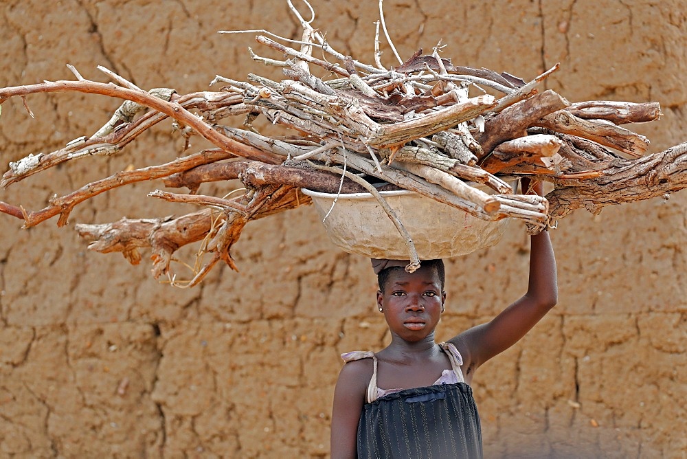 Young girl carrying firewood on her head, Datcha-Attikpaye, Togo, West Africa, Africa