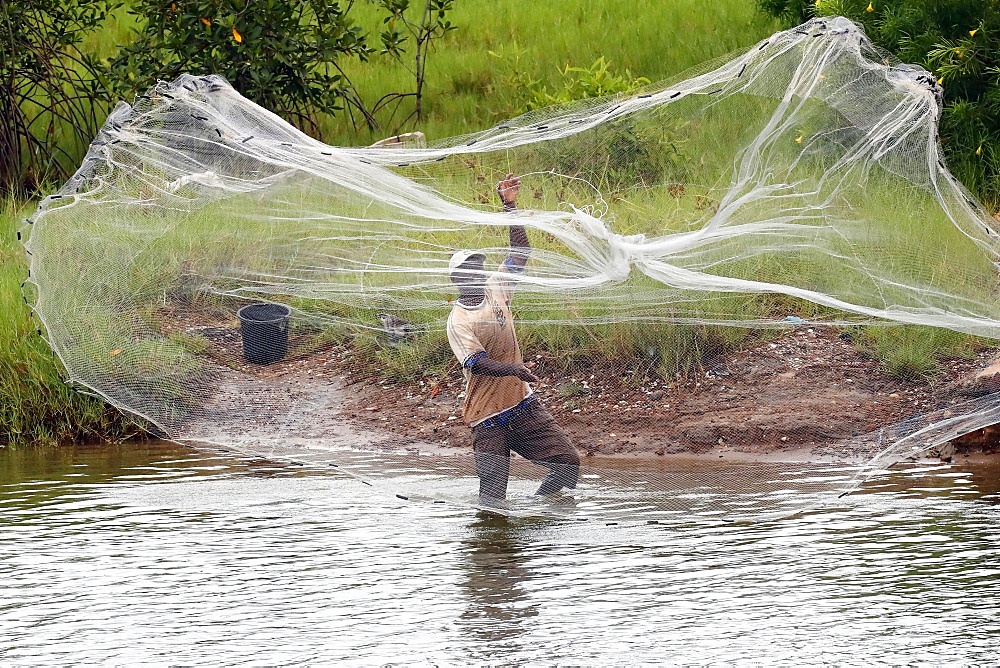 African fisherman throwing net into the river in traditional way, Aneho, Togo, West Africa, Africa