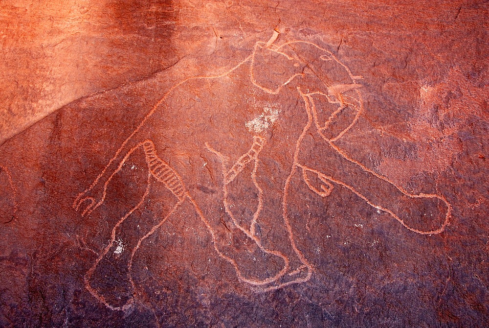 Rock paintings in Ghat, Akakus, Libya, North Africa, Africa