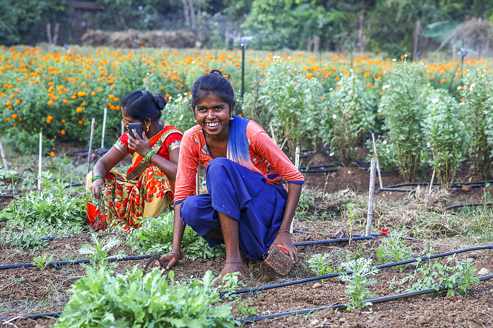 Gardeners at work in one of the gardens of Goverdan ecovillage, Maharashtra, India, Asia