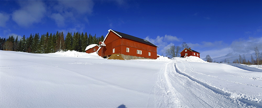 Skiing trail to the farm and cafe at Sandungen, Nordmarka, Oslo, Norway, Scandinavia, Europe