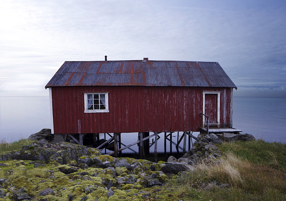 Isolated Rorbu, Lofoten Islands, Norway, Scandinavia, Europe