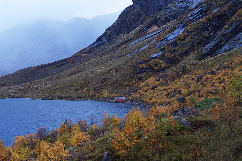 Rorbu (fishreman's hut) on fjord, Lofoten Islands, Norway, Scandinavia, Europe