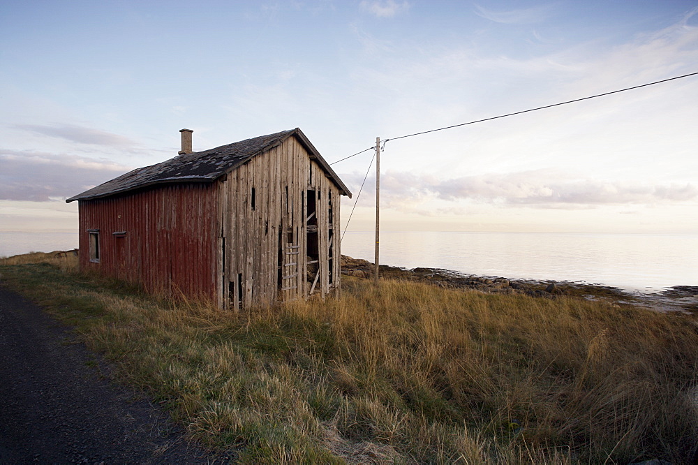 Weathered barn on coast, Lofoten Islands, Norway, Scandinavia, Europe