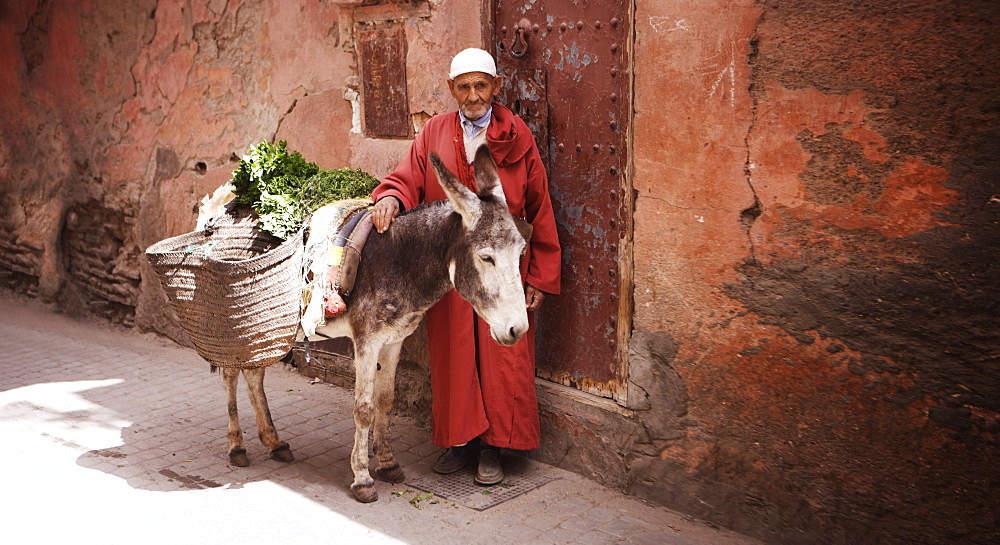 Man with donkey, Marrakesh, Morocco, North Africa, Africa