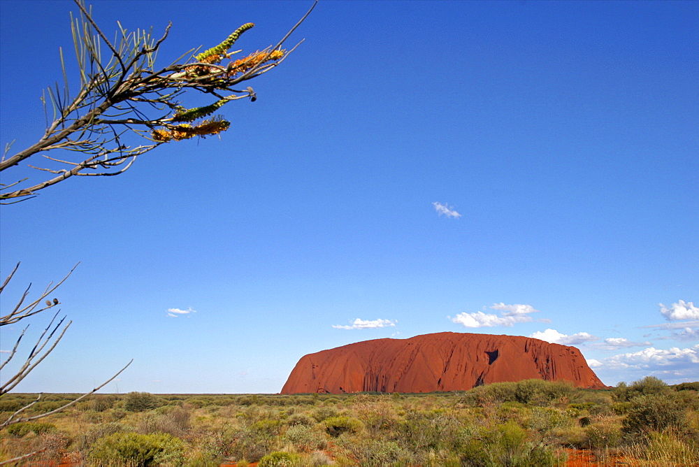 Uluru in the Red Centre, Northern Territories, Australia, Pacific