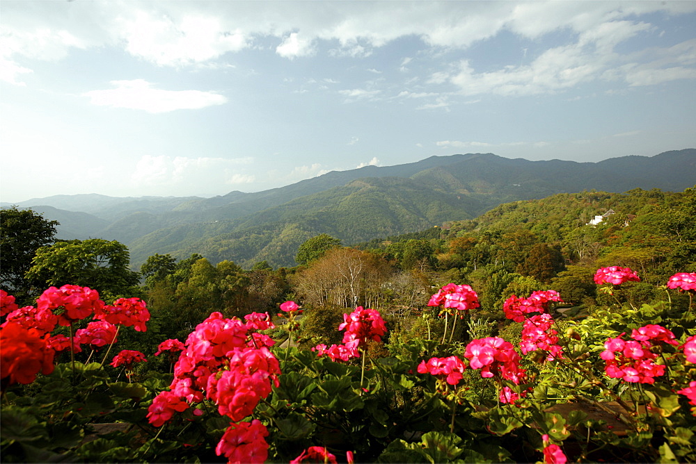 View from the Queen Mother villa, in the middle of the Golden Triangle, Thailand, Southeast Asia, Asia