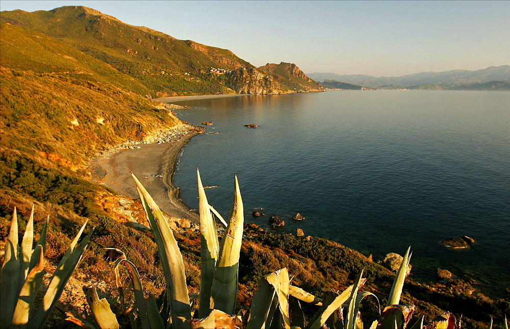 The Gulf of Nonza in Cap-Corse, Corsica, France, Mediterranean, Europe