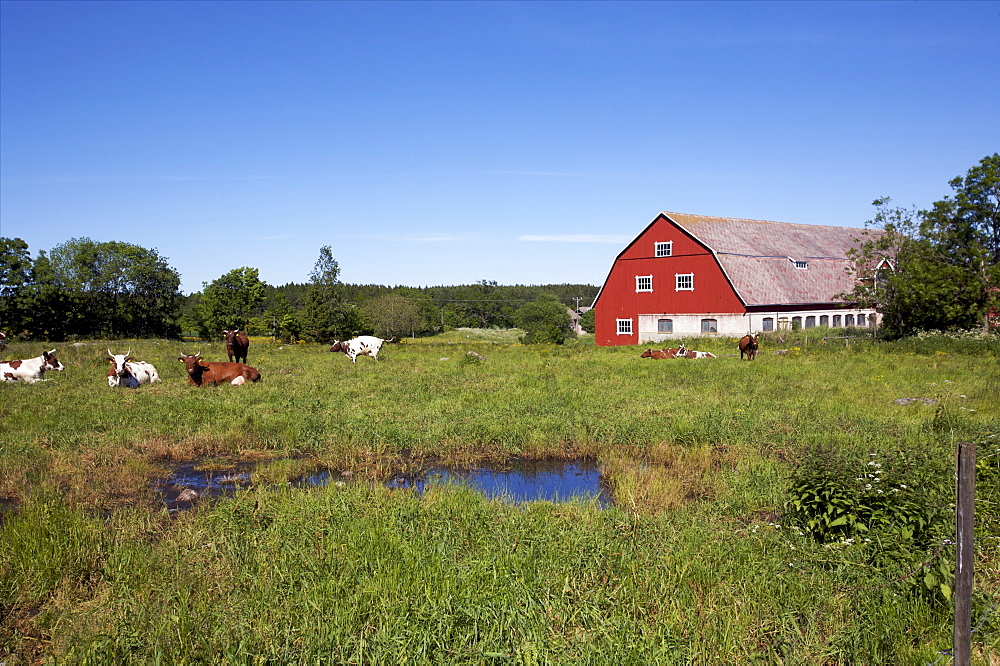 A big farm on the archipelago of Aland, Finland, Scandinavia, Europe