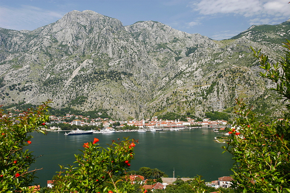 View over the town of Herceg Novi, in the Kotor Gulf, Montenegro, Europe