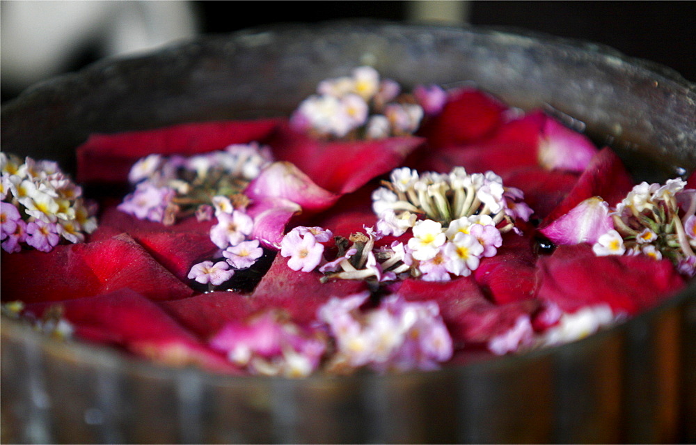 Hibiscus and paradise lotus flowers in a teak water container, used to wash the hands, Thailand, Southeast Asia, Asia