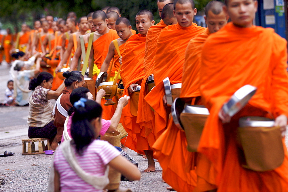 Monks processing at dawn for alms of rice in Luang Prabang, Laos, Indochina, Southeast Asia, Asia