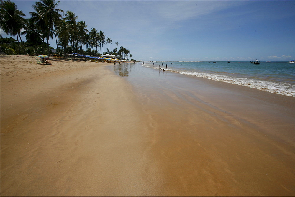 The beach in the protected area of Praia do Forte, on the coast, close to Salvador de Bahia, Brazil, South America