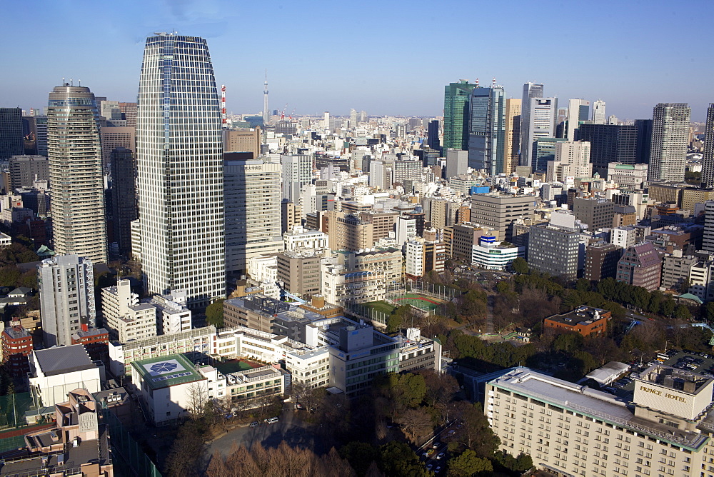 View over city, Tokyo, Japan, Asia