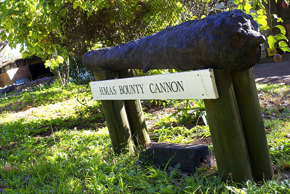 The only re-discovered cannon of the HMS Bounty, Pitcairn Island, Pacific