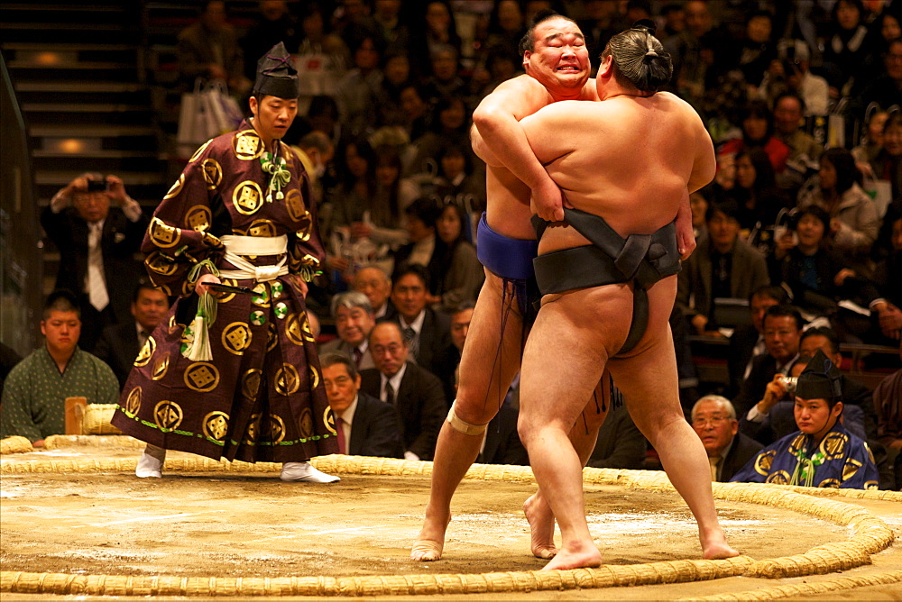 Two sumo wrestlers pushing hard to put their opponent out of the circle, sumo wrestling competition, Tokyo, Japan, Asia