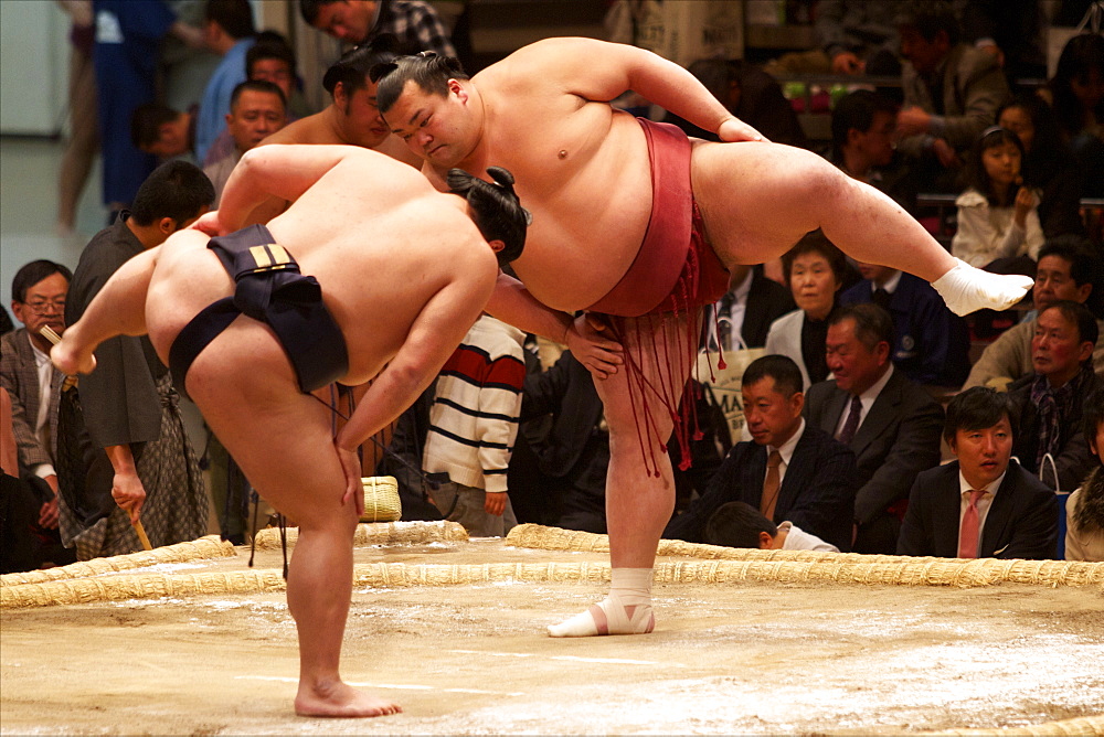 Sumo wrestling competition at the Kokugikan stadium, Tokyo, Japan, Asia