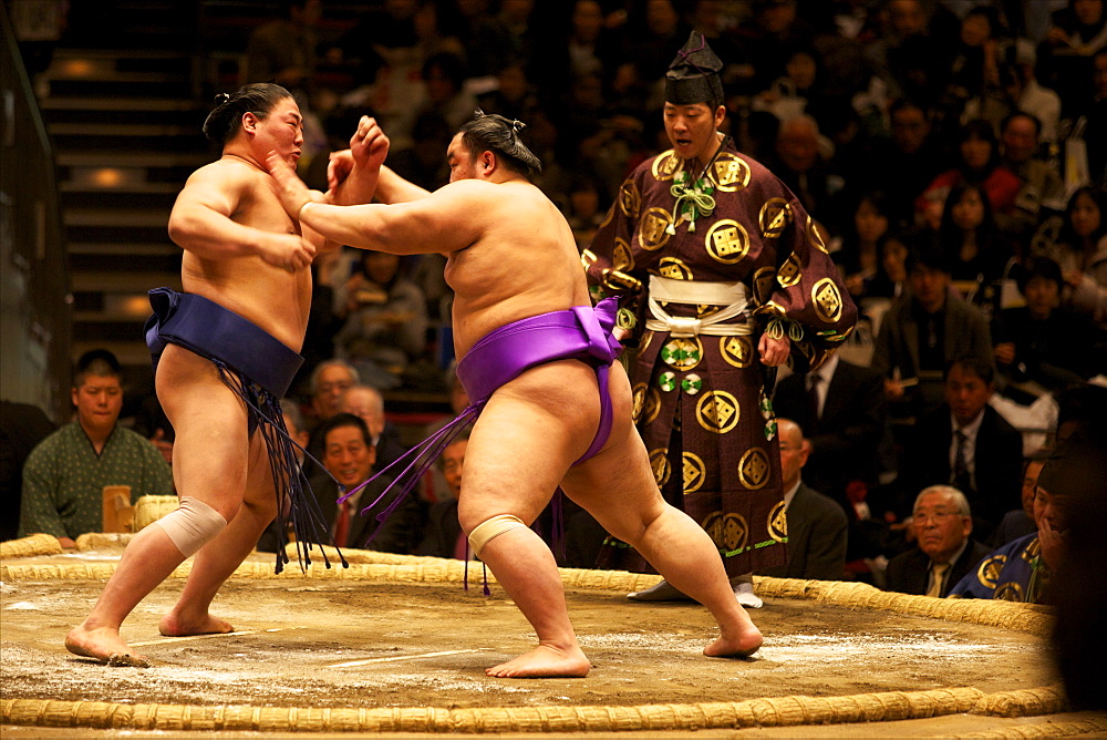 Sumo wrestling competition at the Kokugikan stadium, Tokyo, Japan, Asia