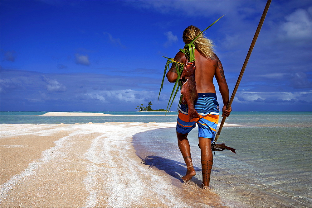 Fishing the traditional way with a harpoon, at the White Sands, Tetamanu Pass, Fakarava Island, Tuamotu archipelago, French Polynesia, Pacific