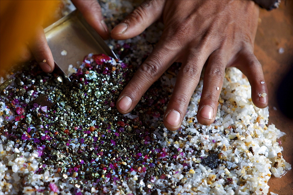 After bashing the sand, the ruby stones concentrate naturally in the middle of the container, Mogok, Myanmar (Burma), Asia