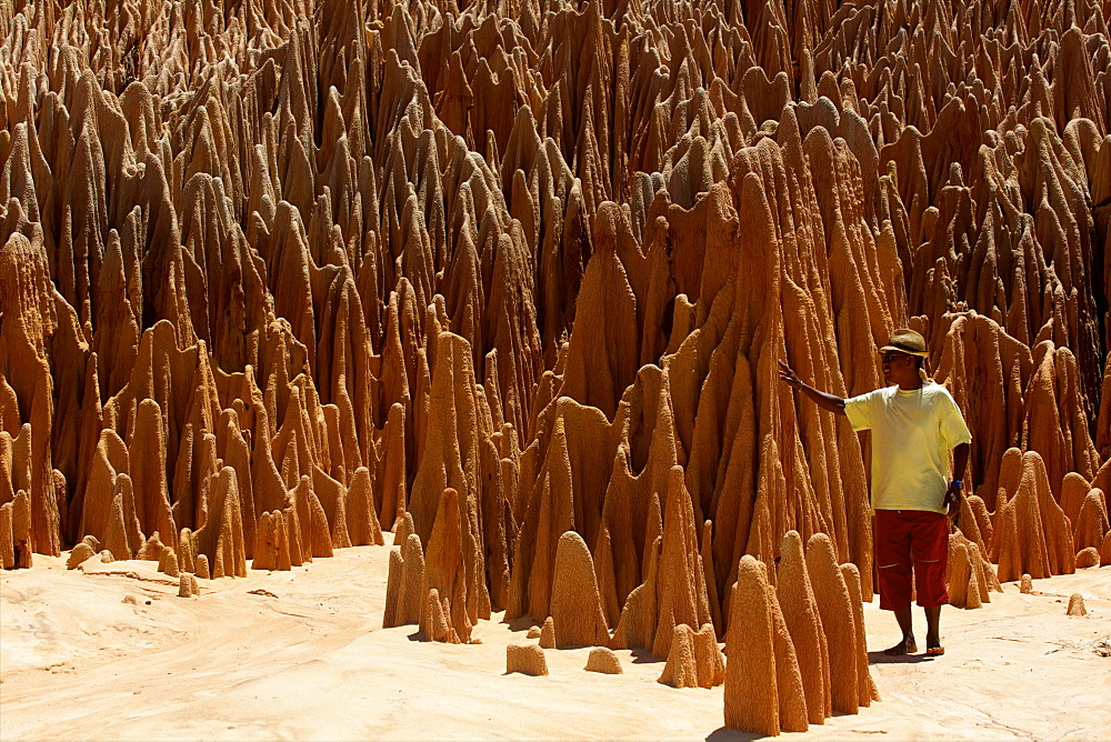 In the red tsingy area, close to Diego Suarez bay, Northern Madagascar, Africa