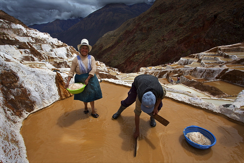 Family working in the Salinas de Maras, Sacred Valley, Peru, South America