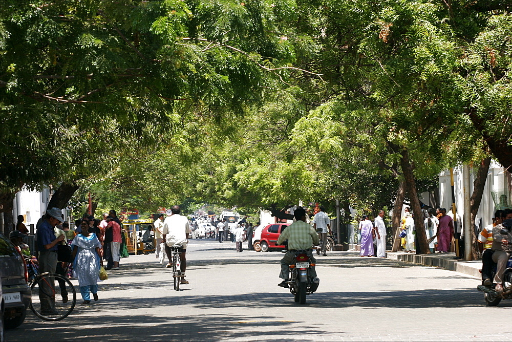In the streets of the Ville Blanche area of Pondicherry, Tamil Nadu, India, Asia