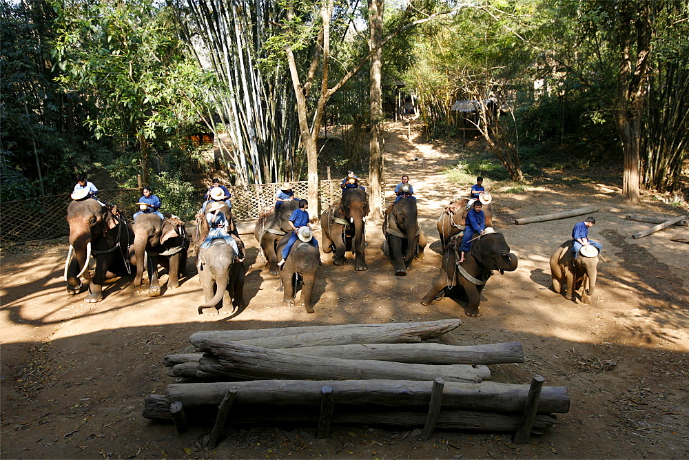 Demonstration at the Elephant training center, close to Chiang Mai, Thailand, Southeast Asia, Asia