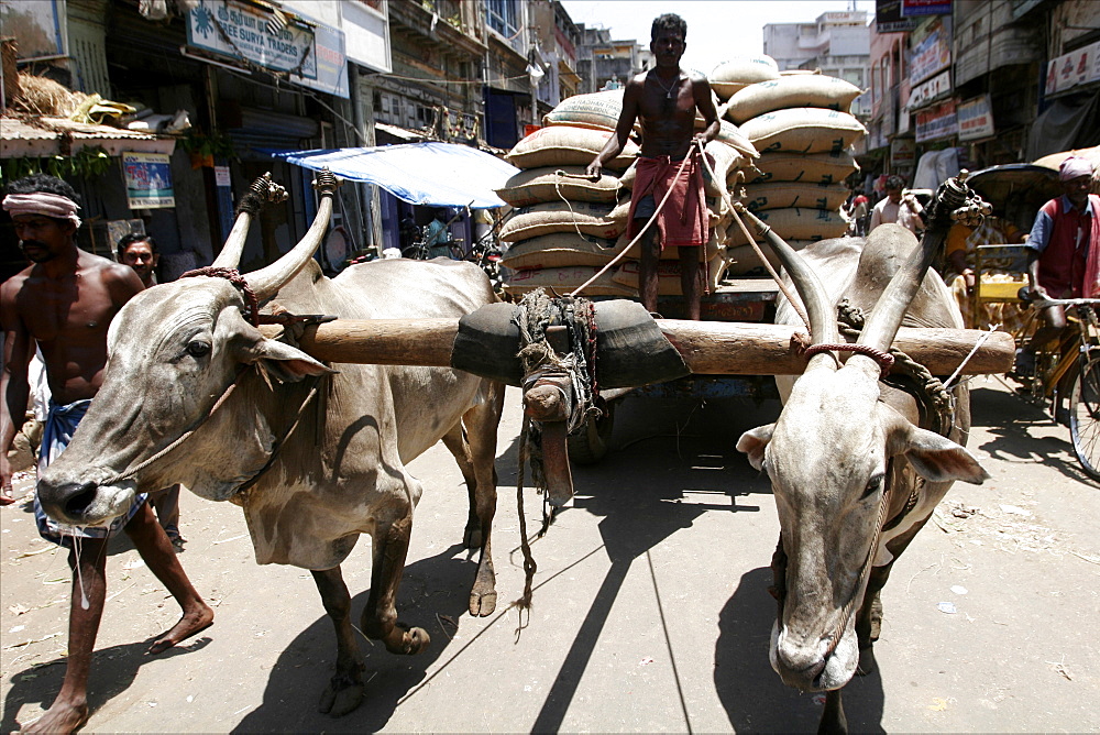 In the streets of Chennai, Tamil Nadu, India, Asia