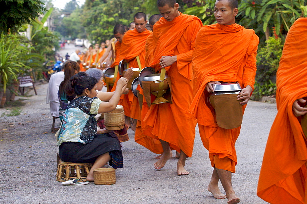 Monks during the dawn procession for food in the streets in Luang Prabang, Laos, Indochina, Southeast Asia, Asia