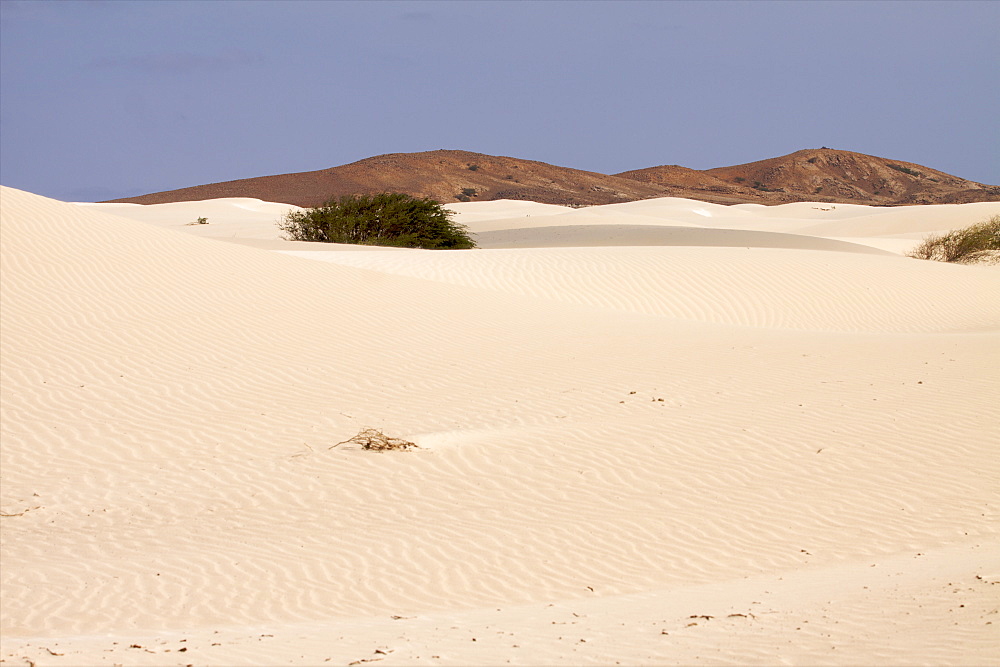 The Deserto de Viana in the center of the island, Boa Vista, Cape Verde Islands, Atlantic, Africa