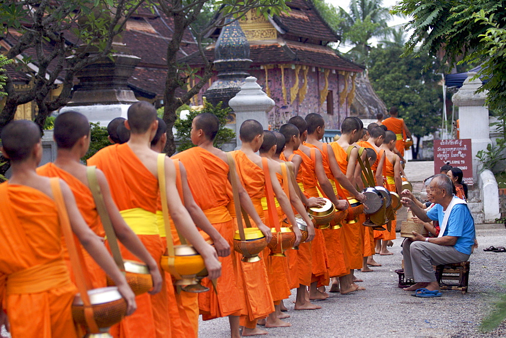 Monks during the dawn procession for food in the streets in Luang Prabang, Laos, Indochina, Southeast Asia, Asia