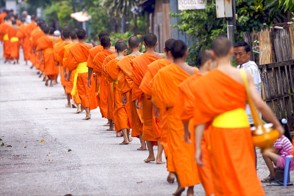 Monks during the dawn procession for food in the streets in Luang Prabang, Laos, Indochina, Southeast Asia, Asia