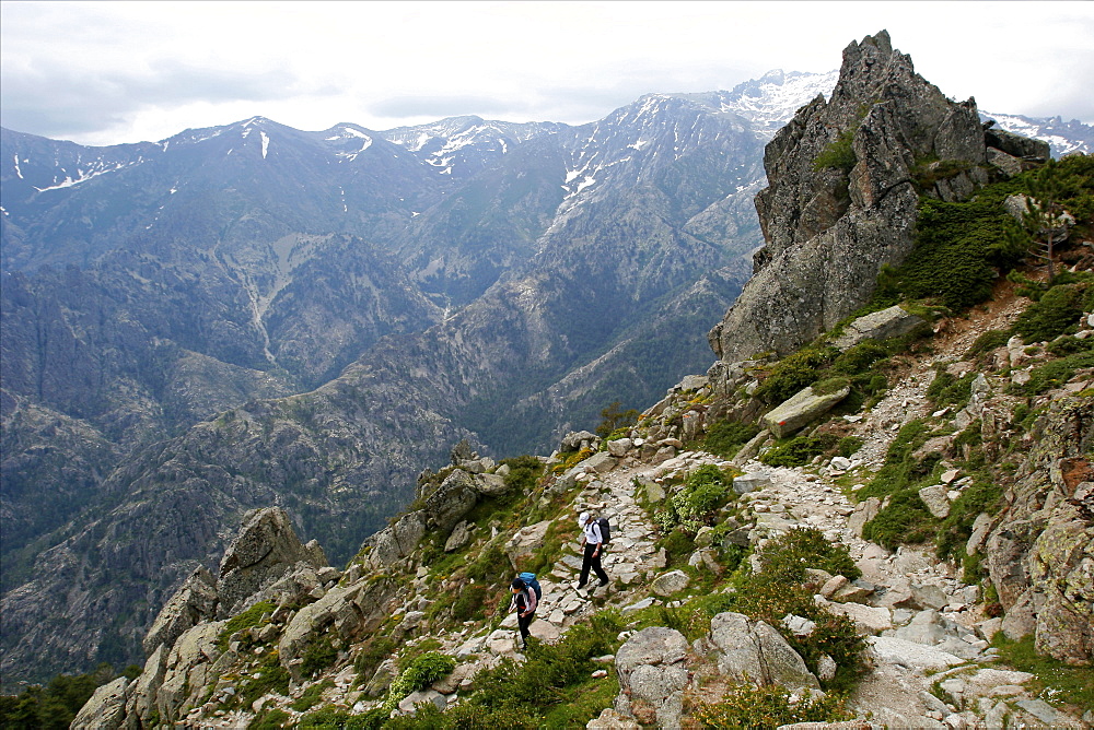 The Tavignanu Canyon in the center of the island, Corsica, France, Mediterranean, Europe