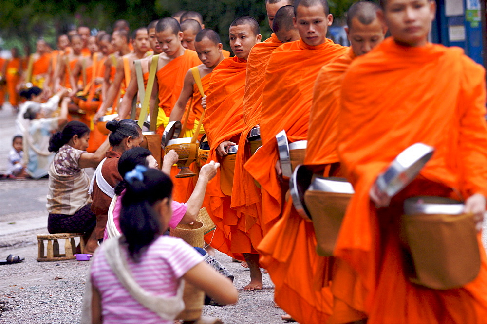Monks during the dawn procession for food in the streets in Luang Prabang, Laos, Indochina, Southeast Asia, Asia