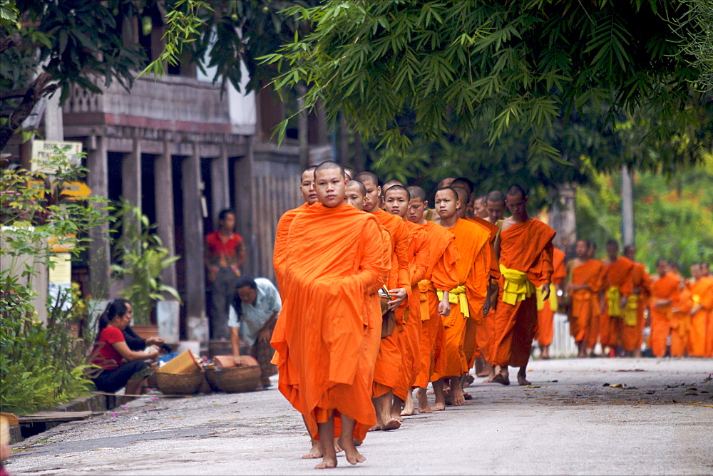 Monks during the dawn procession for food in the streets in Luang Prabang, Laos, Indochina, Southeast Asia, Asia