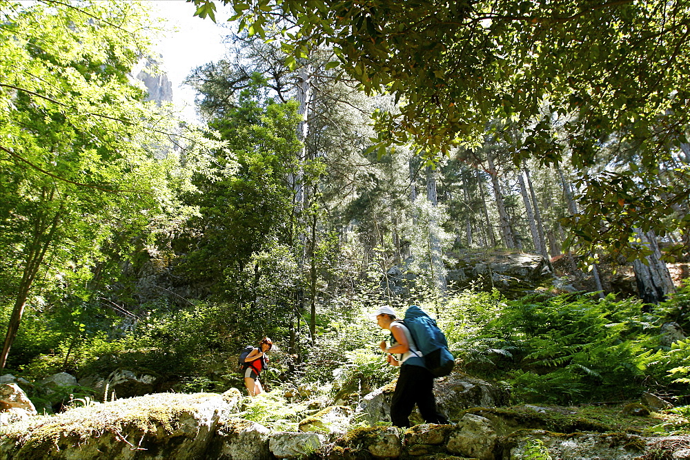 The Tavignanu Canyon in the center of the island, Corsica, France, Europe