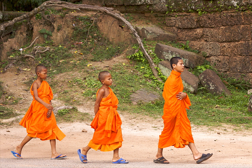 Young monks in the area of the Ta Prohm temple, Siem Reap, Cambodia, Indochina, Southeast Asia, Asia