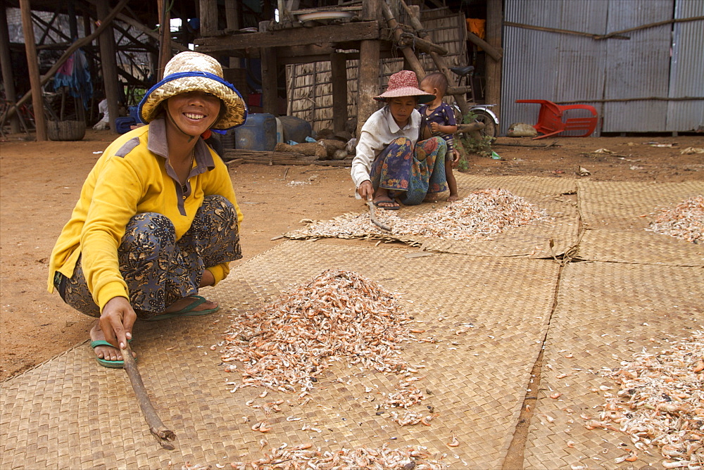 Spreading shrimps out to dry in the village of Kompong Phluk, near Siem Reap, Cambodia, Indochina, Southeast Asia, Asia