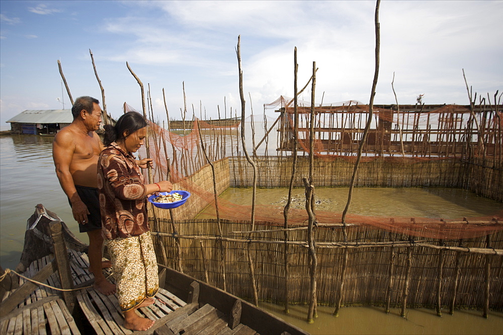 A small fish farm in the floating village of Kompong Phluk on Lake Tonle Sap, near Siem Reap, Cambodia, Indochina, Southeast Asia, Asia