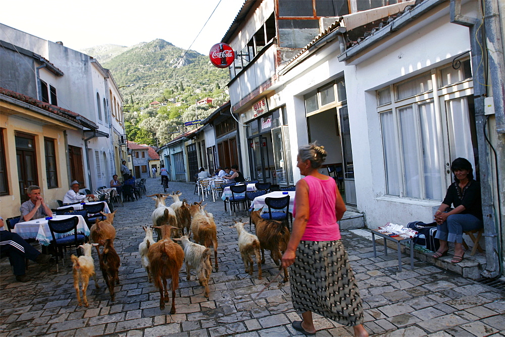 A small village on Lake Skadar, at the Albanian border, Montenegro, Europe