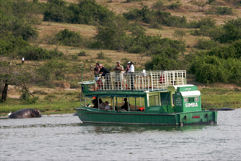 Watching hippos in the Queen Elizabeth National Park, Uganda, East Africa, Africa